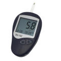 Quick Check Digital Blood Glucose Test Meter